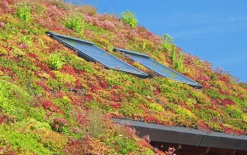 Swelling Hill living roof systems